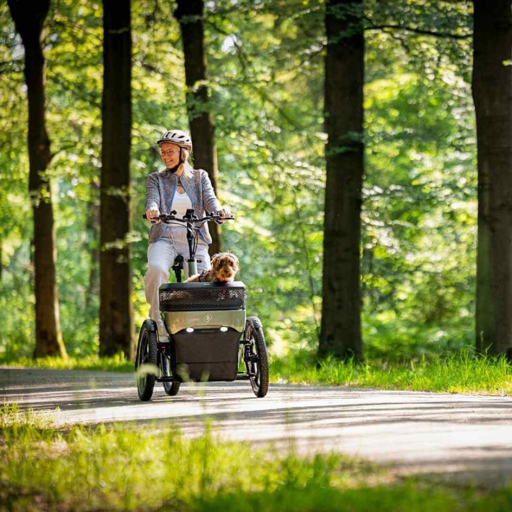 Tricicletta con pedalata assistita e accesso facilitato con cestino portacani